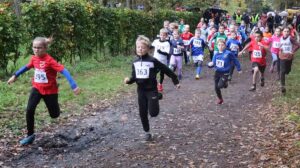 Cross-Start in Klein Hesepe - H.-J. Meyer